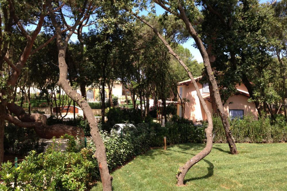 Hotel Il Delfino ซานวินเชนโซ ภายนอก รูปภาพ