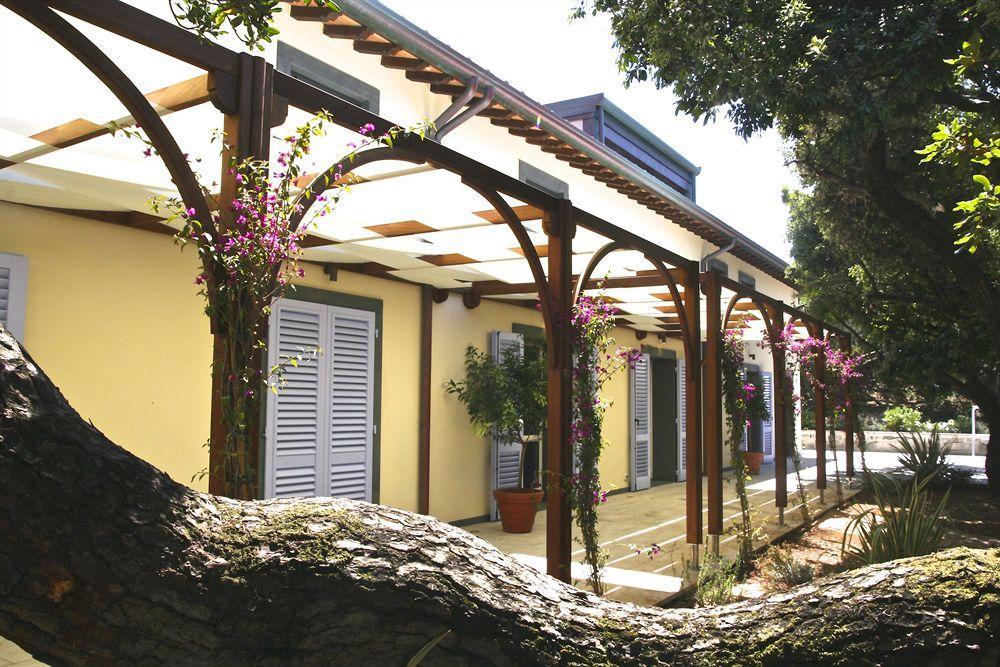 Hotel Il Delfino ซานวินเชนโซ ภายนอก รูปภาพ